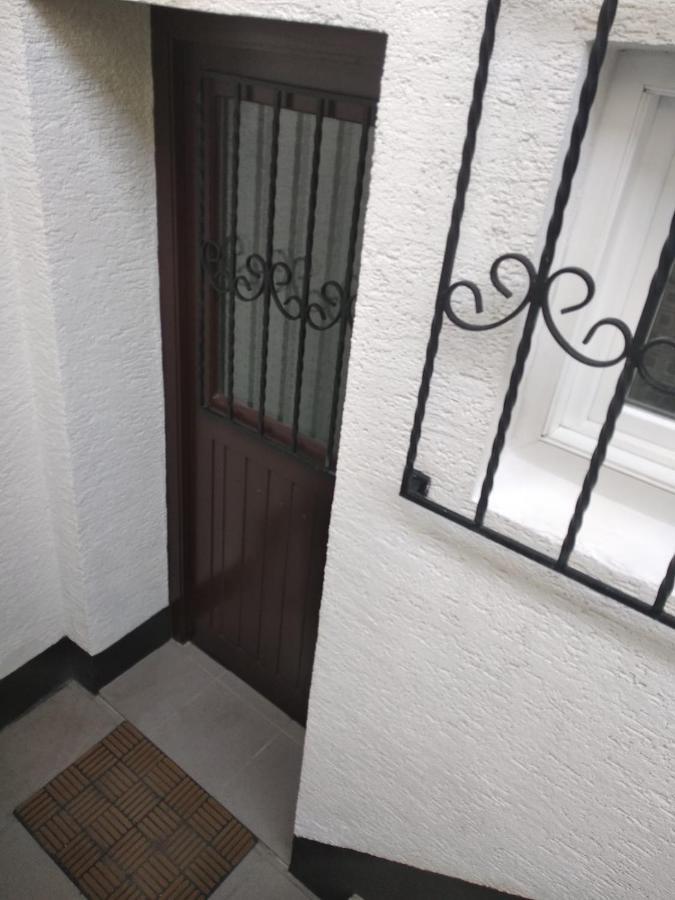 Gemuetliche Ferienwohnung Mit Kamin Und Sauna! Nistertal Εξωτερικό φωτογραφία