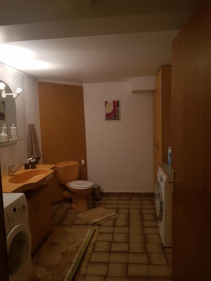 Gemuetliche Ferienwohnung Mit Kamin Und Sauna! Nistertal Εξωτερικό φωτογραφία