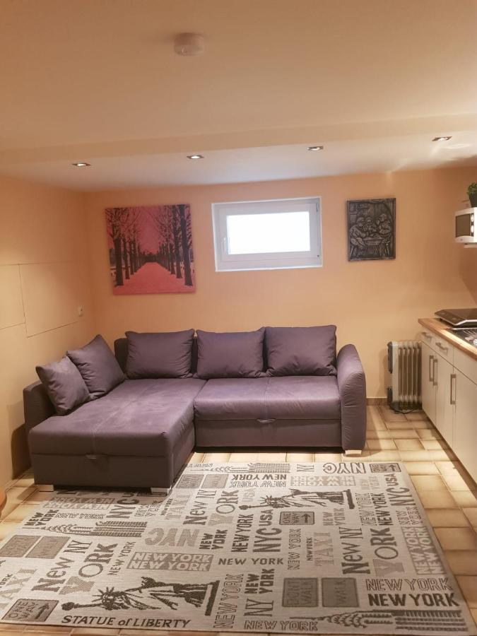 Gemuetliche Ferienwohnung Mit Kamin Und Sauna! Nistertal Εξωτερικό φωτογραφία